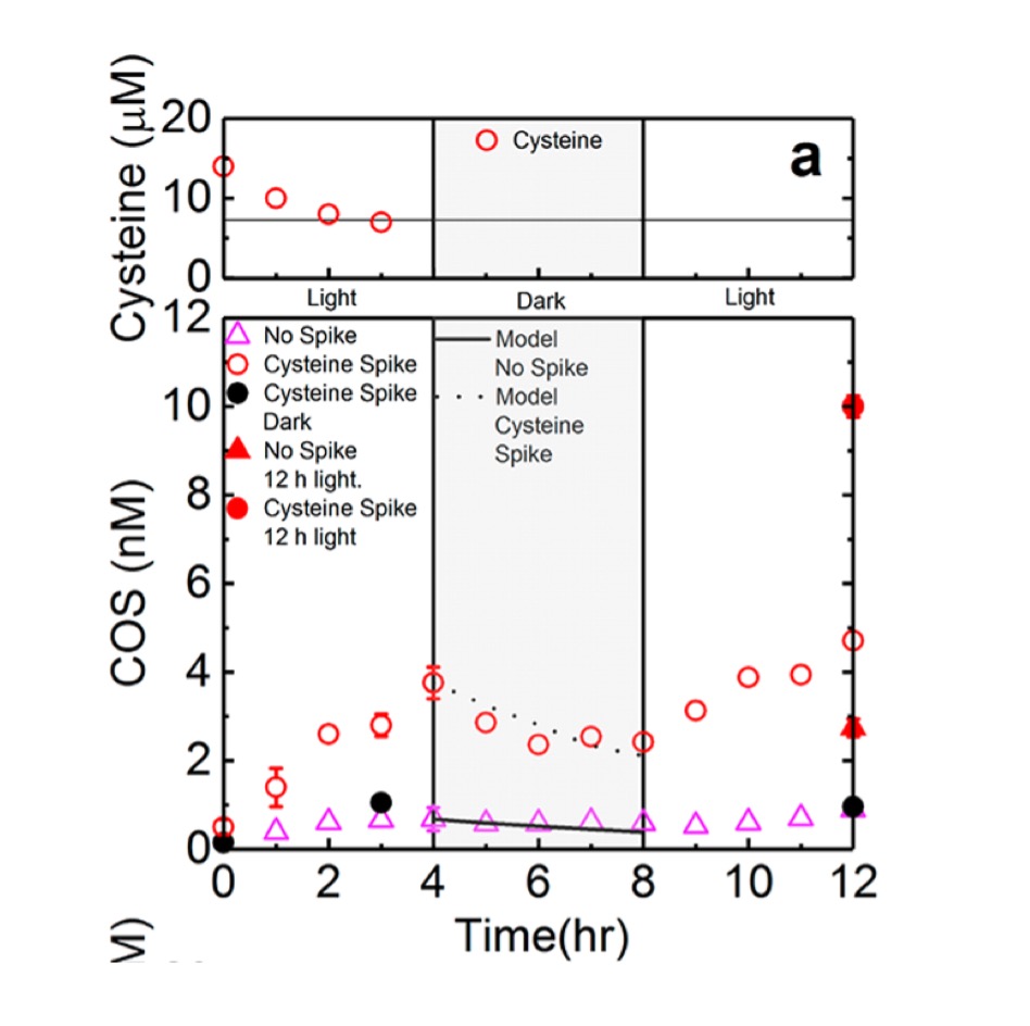 Organic Sulfur Photochemistry