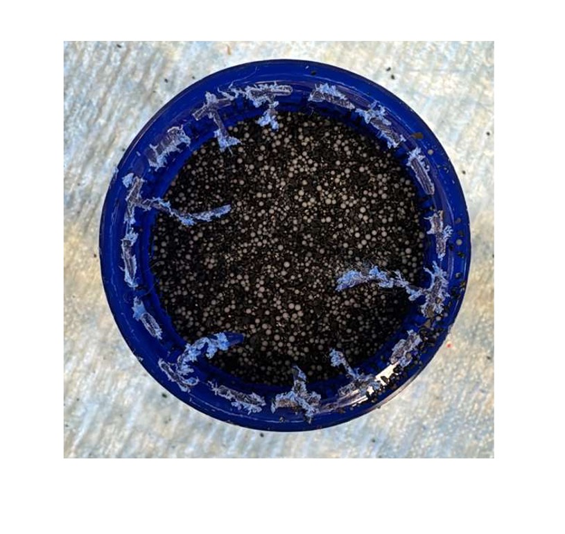 Point-of-Use Filters